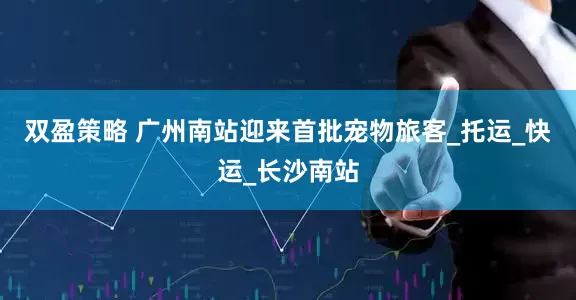 双盈策略 广州南站迎来首批宠物旅客_托运_快运_长沙南站